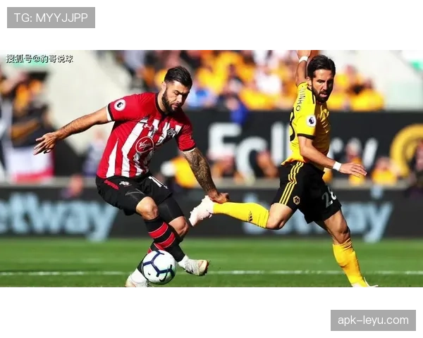 南安普顿状态回暖,强势节奏冲击重返顶级联赛 南安普顿状态回暖,强势节奏冲击重返顶级联赛