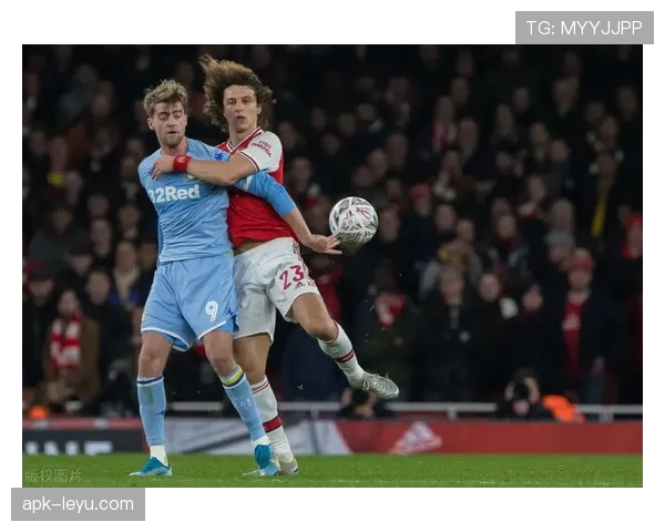 布莱顿球队最新转会动态与引援情况