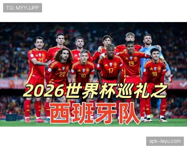 2026世界杯比赛因安全原因暂停如何处理 2026世界杯比赛因安全原因暂停如何处理